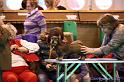 Crufts2011_2 433